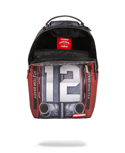 Brady 12 V-12 Backpack