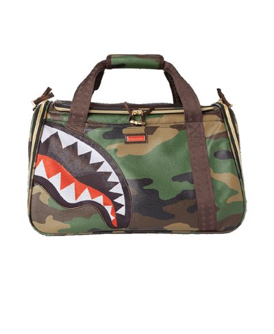 sprayground online