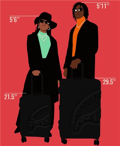 sprayground luggage 29